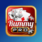 Rummy Pro